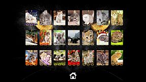 Kitty Cat: Jigsaw Puzzles