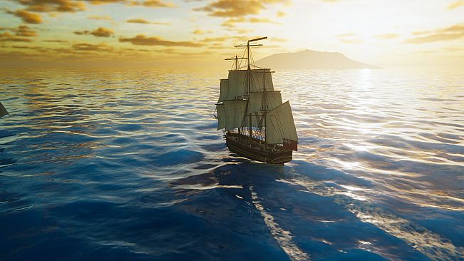 New World Trading Company