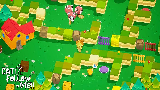 Cat Follow Me