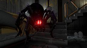 The Backrooms Company