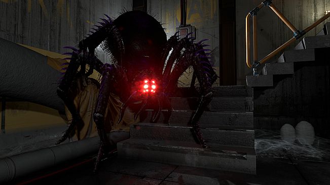 The Backrooms Company