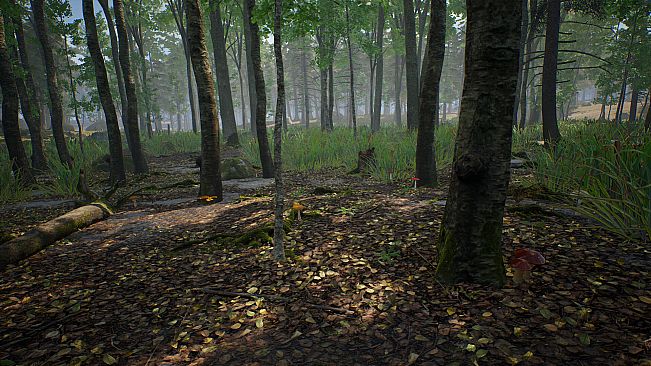 Mushroom Hunter Simulator