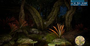 Morels: Out of this World