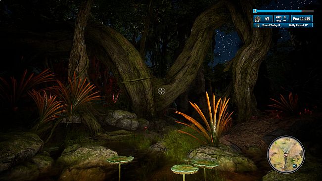 Morels: Out of this World