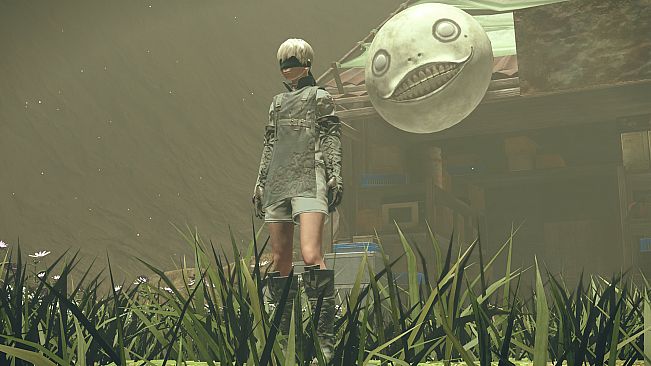 NieR:Automata - 3C3C1D119440927
