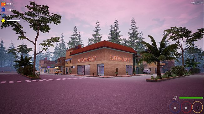 TRADER LIFE SIMULATOR