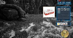 Morels: Out of this World