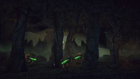 Adele: Following the Signs