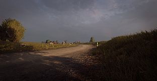 DiRT Rally 2.0 - Germany (Rally Location)