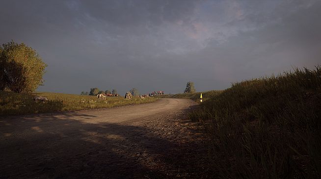 DiRT Rally 2.0 - Germany (Rally Location)