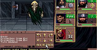 Eye of the Beholder III: Assault on Myth Drannor