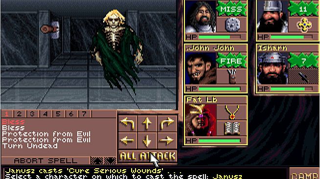 Eye of the Beholder III: Assault on Myth Drannor