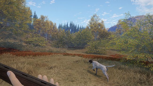 theHunter: Call of the Wild - German Shorthaired Pointer