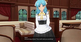 CUSTOM ORDER MAID 3D2 Character EX Pack Cunning