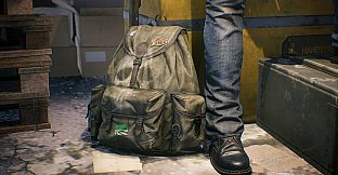 Vigor - Last King of DayZ