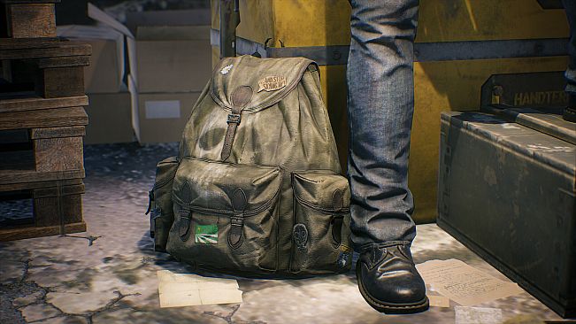 Vigor - Last King of DayZ