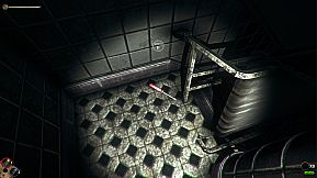 Horror in the Asylum