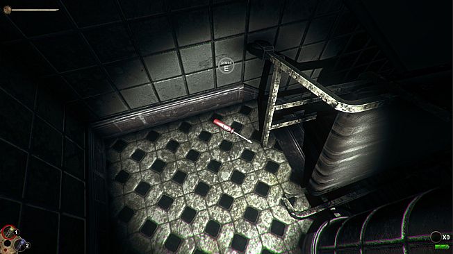 Horror in the Asylum