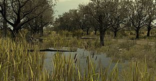 Arma 2: Private Military Company