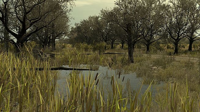 Arma 2: Private Military Company