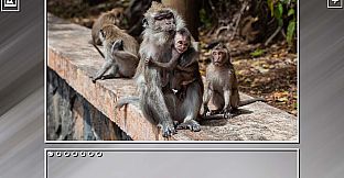 Super Jigsaw Puzzle: Generations - Monkeys & Apes Puzzles