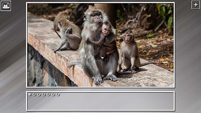Super Jigsaw Puzzle: Generations - Monkeys & Apes Puzzles