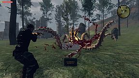 Faith Of Life _ Survive Edition