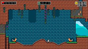 The Duck Amikaze Strikes Back