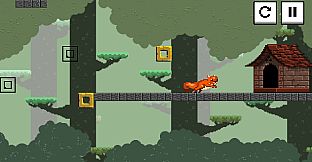 Squirrel Jump - Forest Pathway