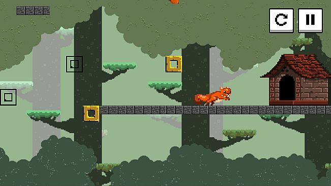 Squirrel Jump - Forest Pathway