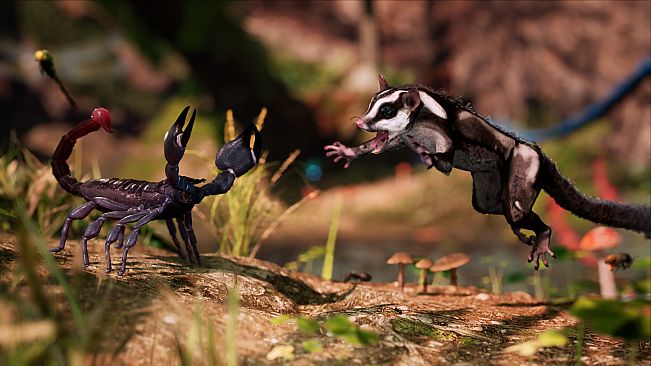 Away : The Survival Series