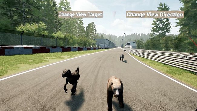 Animal Race Run VR