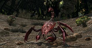 The Lord of the Rings Online