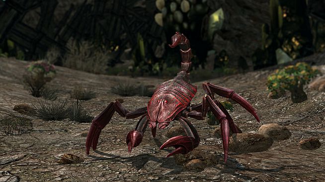 The Lord of the Rings Online