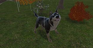 Pets Hotel: Prologue