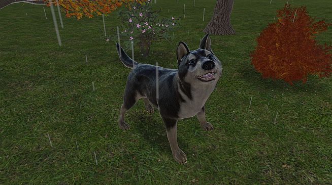 Pets Hotel: Prologue