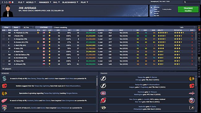 Franchise Hockey Manager 13