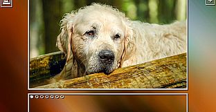 Super Jigsaw Puzzle: Generations - Dogs Puzzles