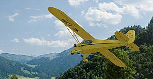 RealFlight Evolution - 2025 Year Content Pass