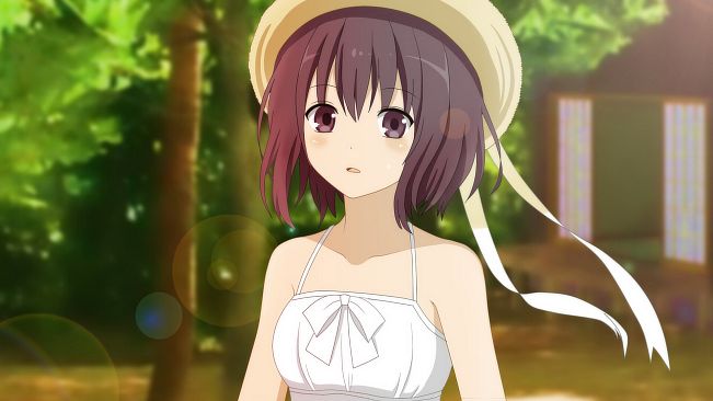 Misohagi Crossing