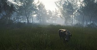 theHunter: Call of the Wild - Te Awaroa National Park