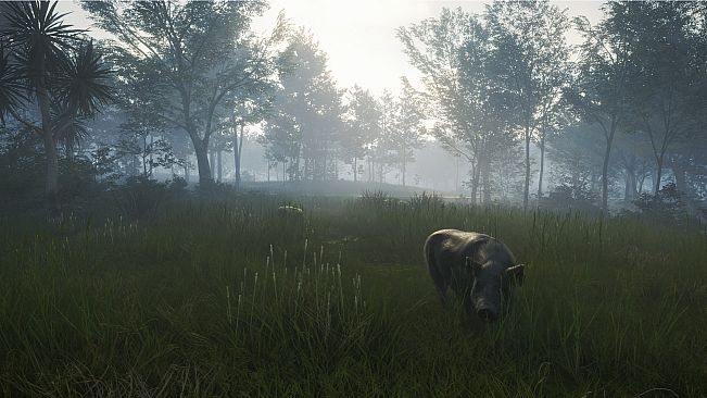 theHunter: Call of the Wild - Te Awaroa National Park