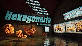 SHADOWBOX: Mausoleum of Natural History