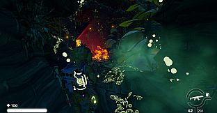 Primate: Father of Universe