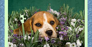 1001 Jigsaw. Home Sweet Home. Back from Vacation