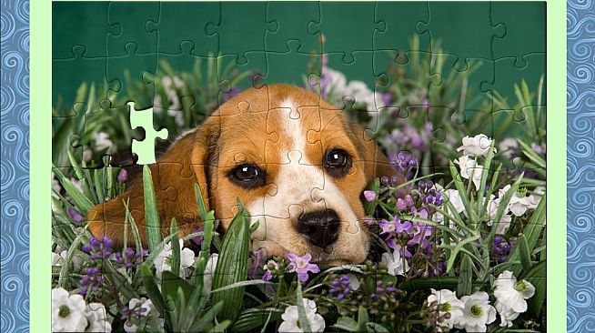 1001 Jigsaw. Home Sweet Home. Back from Vacation