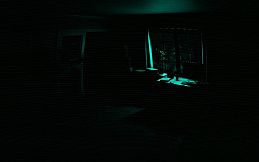 THE DAMN PSYCHIATRIC