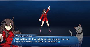 MELTY BLOOD: TYPE LUMINA - Round Announcements - 13 Character Set