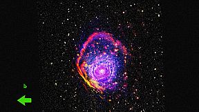 Witness of the Night