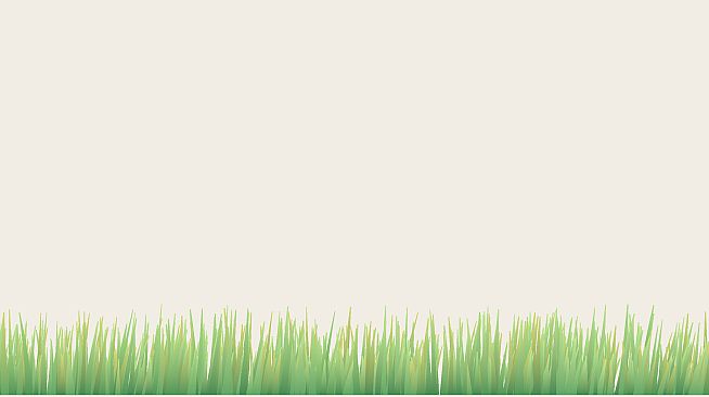 Desktop Grass
